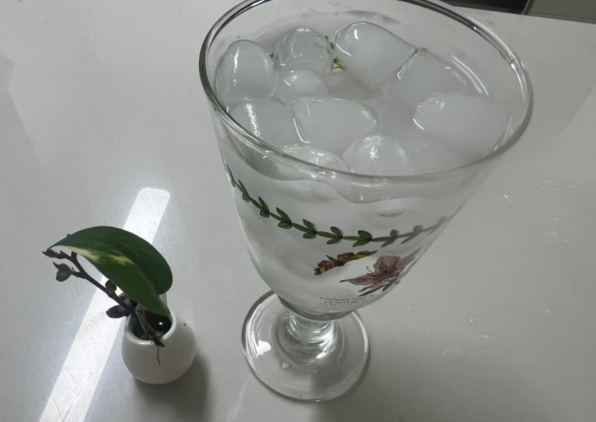 열에 의한 물질의 상태 변화